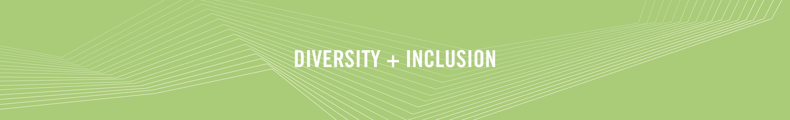 Diversity and Inclusion